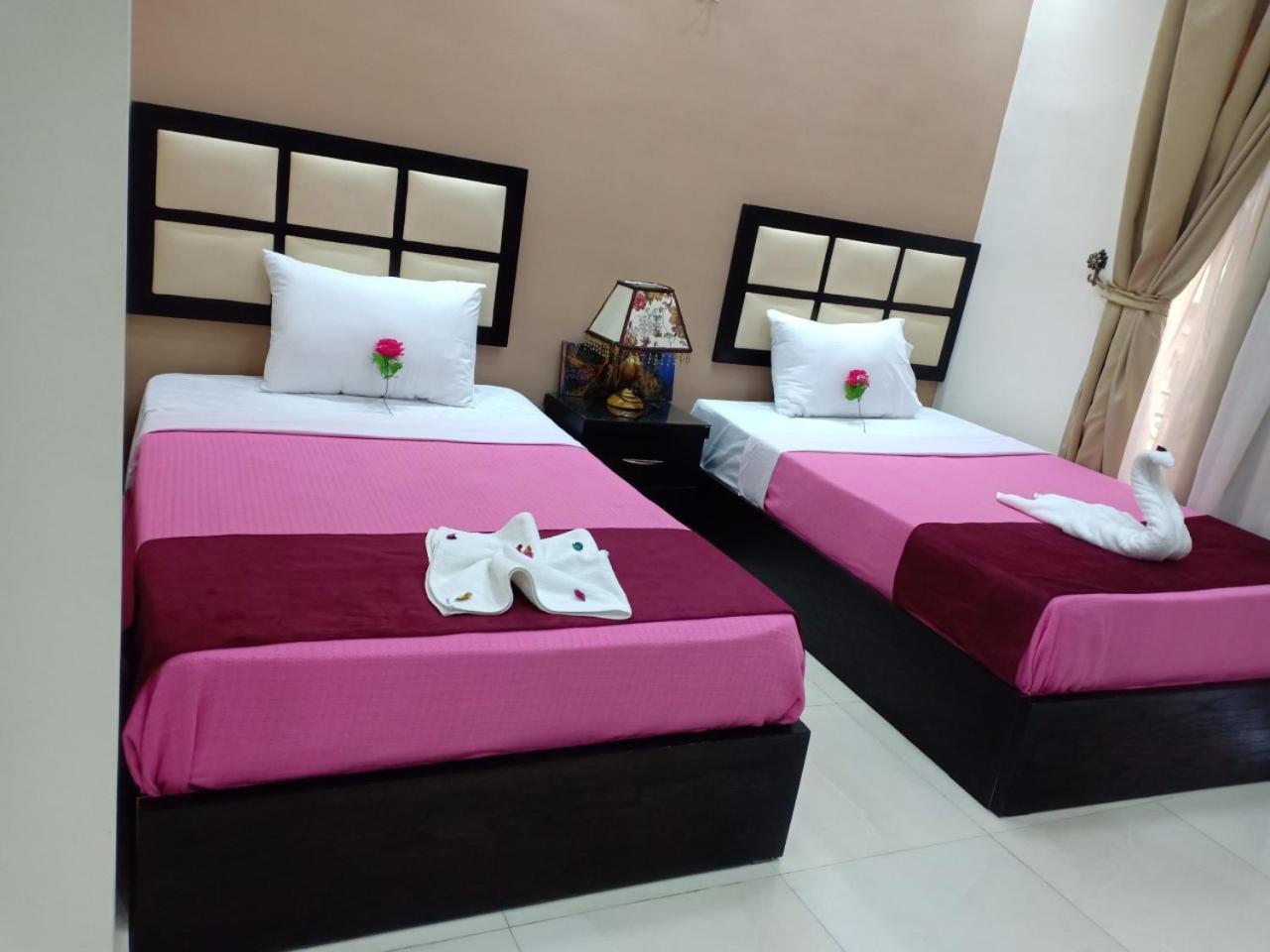 New City Hotel 开罗 外观 照片